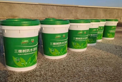 三棵樹綠意凈味筑防線 廣西長科新材料項目的水性涂料應用實踐